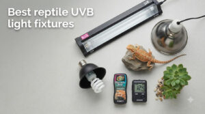 Best reptile UVB light fixtures