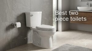 Best two piece toilets