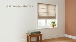 Best roman shades