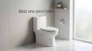 Best one piece toilets