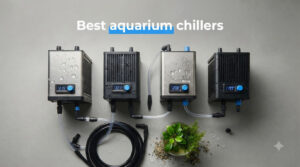 Best aquarium chillers