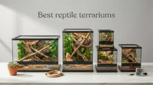 Best reptile terrariums
