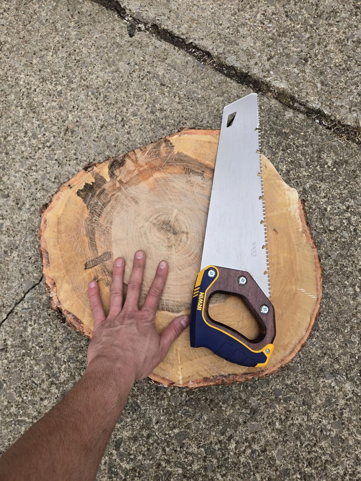 IRWIN Hand Saw, Coarse Cut, ProTouch Handle, 15-Inch (2011201) customer photo 1