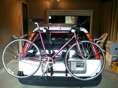 Allen Sports Deluxe 2-Bike Trunk Mount Rack, Model 102DB, Black/Silver customer photo 2