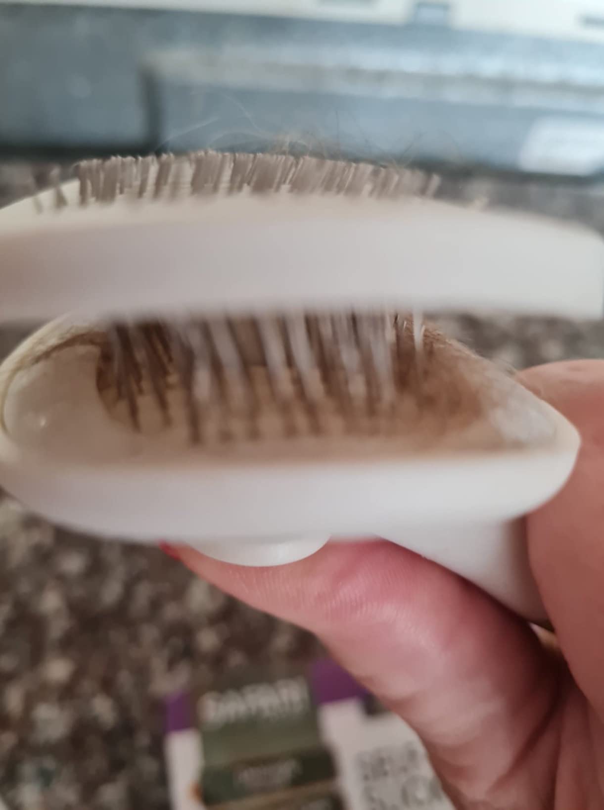 Coastal Pet Safari Dog Self-Cleaning Slicker Brush - Dog Deshedding Brush - Prevents Mats and Tangled Hair - For Dogs with Short or Long Hair - Medium - 4.25