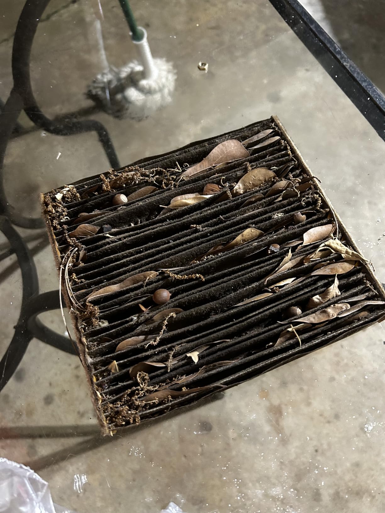 FRAM CF10285 Fresh Breeze Cabin Air Filter customer photo 1