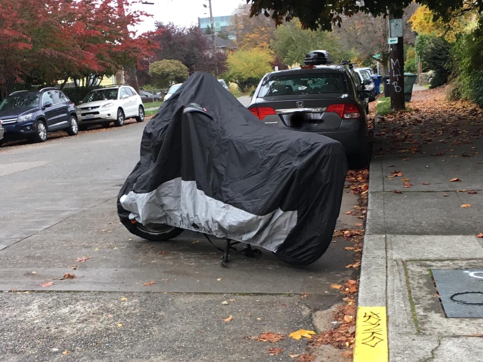 Dowco Guardian 50003-02 WeatherAll Plus Indoor/Outdoor Waterproof Motorcycle Cover: Black, Large customer photo 1