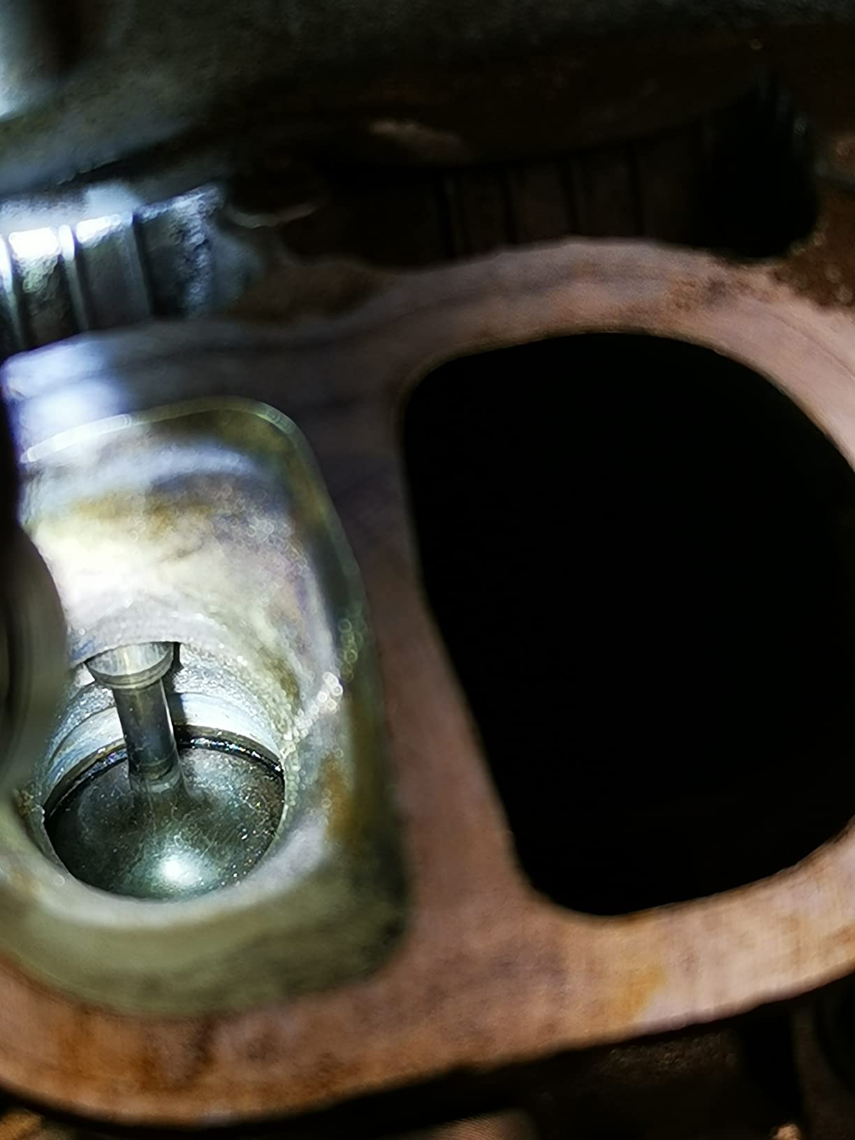 Liqui Moly Valve Clean | 150 ml | Petroladititive | SKU: 2001 customer photo 1