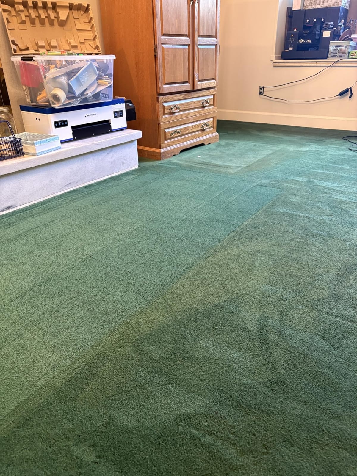 BISSELL Big Green Professional Carpet Cleaner, XL DirtLifter PowerBrush customer photo 1