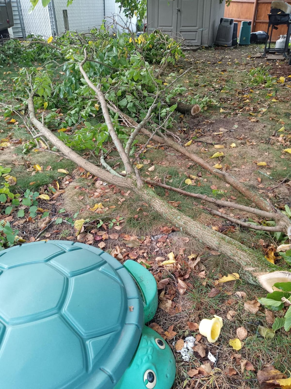 Jameson LS-Series Hollow Core Landscaping Tree Trimming Kit | 16” Barracuda Saw Blade | 18-Foot Reach | Fiberglass Poles with Leaf Spring Locking Buttons | Tree Pruning & Trimming Tool customer photo 2