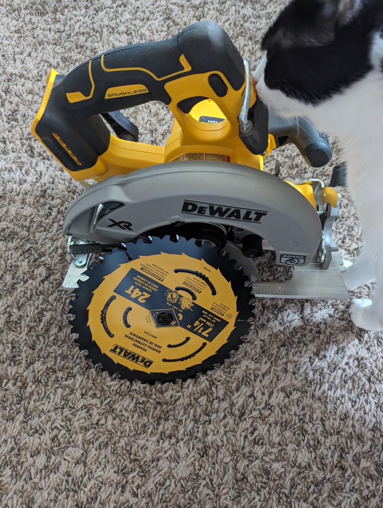 DEWALT 20V MAX Circular Saw Cordless with Brake, 7-1/4 Inch, Tool Only (DCS570B) customer photo 2
