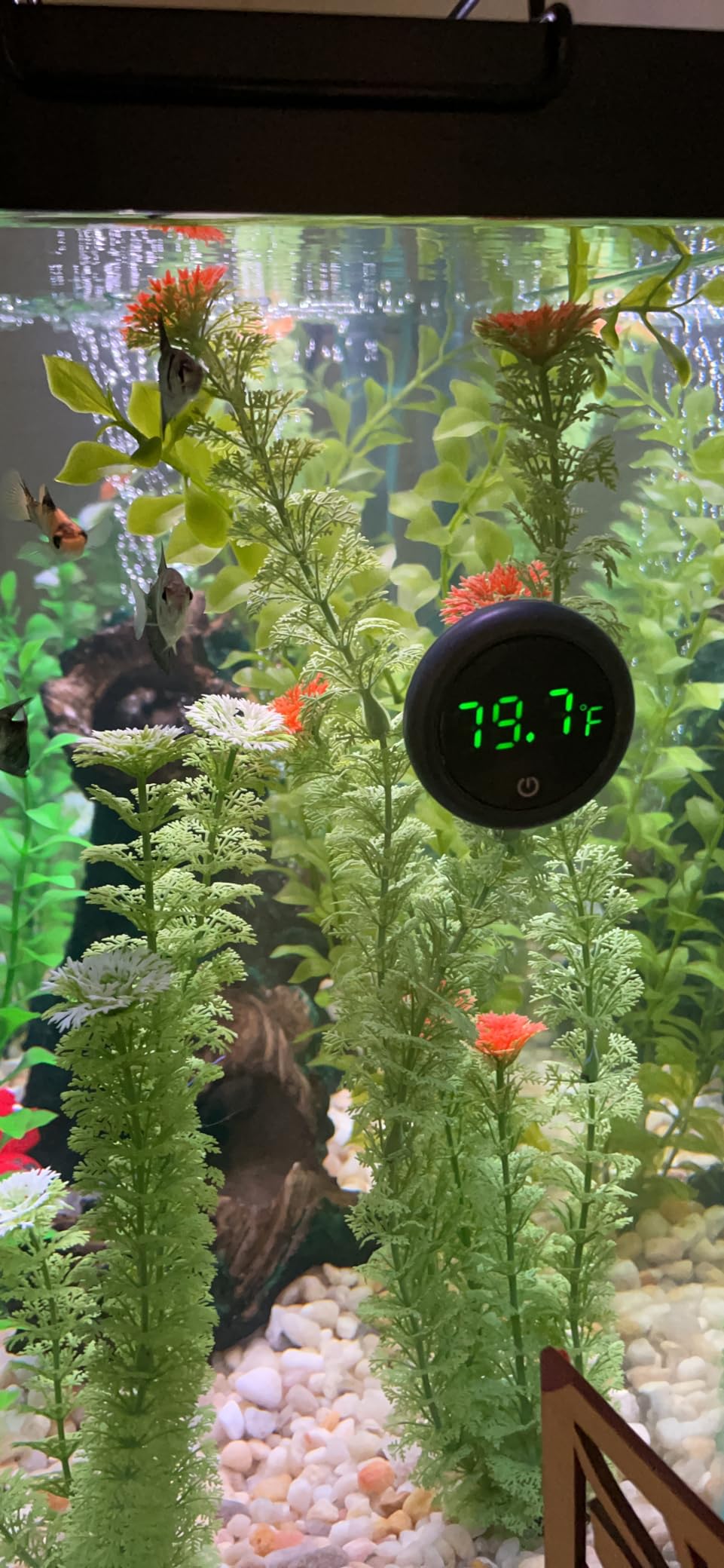 Orlushy Submersible Aquarium Heater, Adjustable Fish Tank Heater with Free Thermometer Suitable for Marine Saltwater and Freshwater customer photo 1