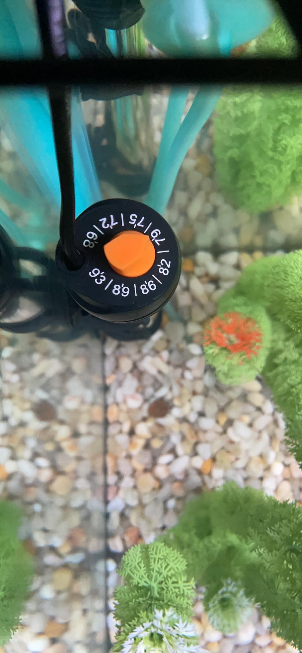 Orlushy Submersible Aquarium Heater, Adjustable Fish Tank Heater with Free Thermometer Suitable for Marine Saltwater and Freshwater customer photo 2