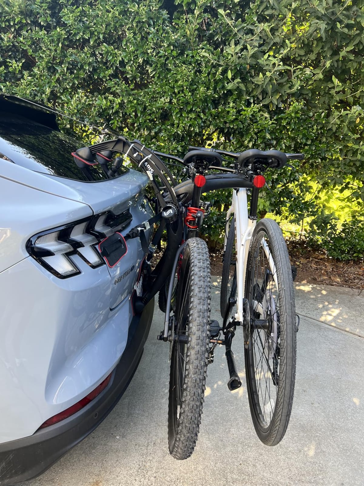 Saris Bones EX 2-Bike Trunk Rack Bicycle Carrier, Durable, Rust-Free, Anti-Sway Straps, Made in USA, Arc-Based Design, 100% Recyclable Materials customer photo 2