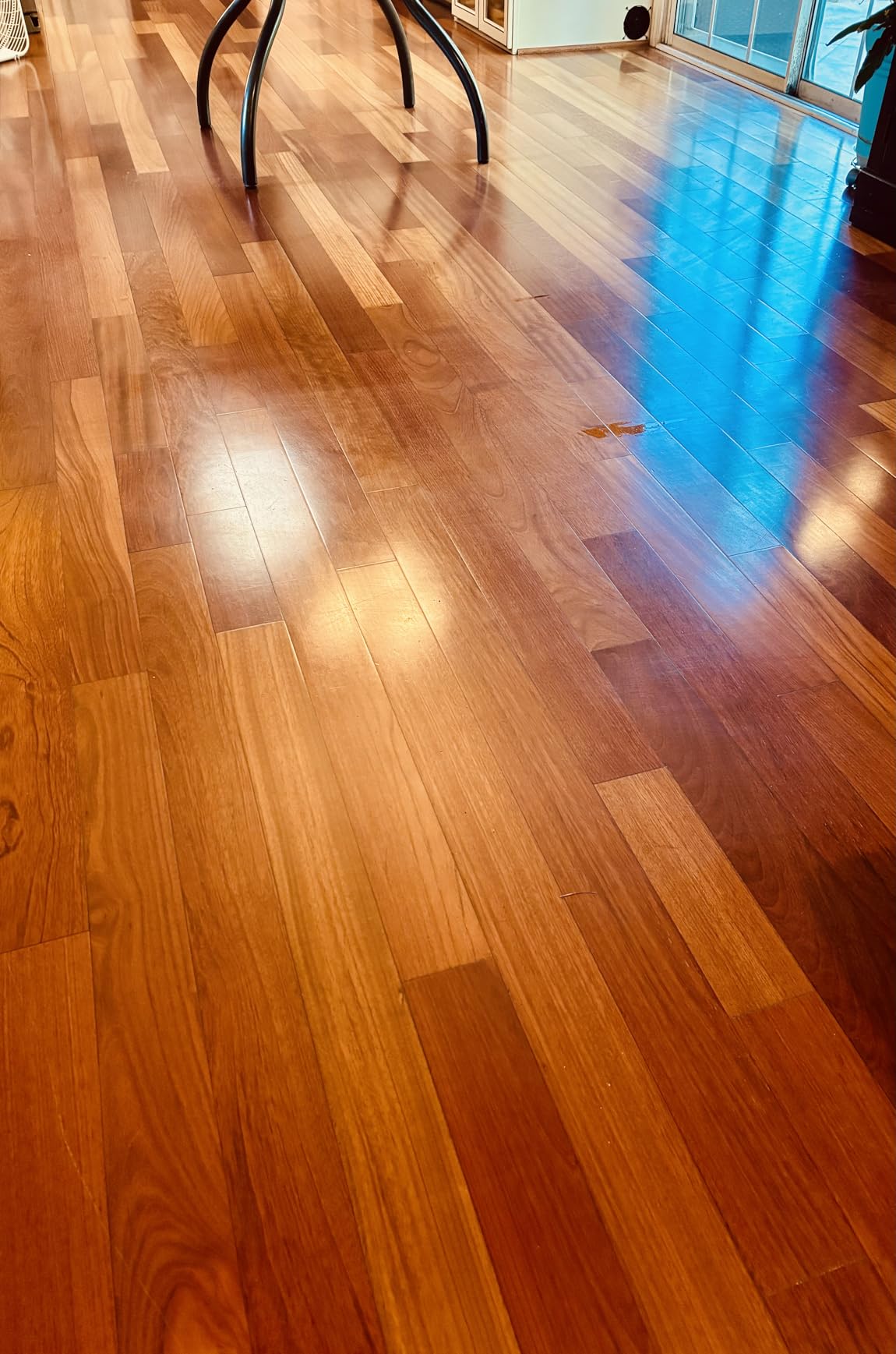 BISSELL SpinWave Hard Floor Expert Corded Spin Mop Cleaner, 20393 customer photo 2