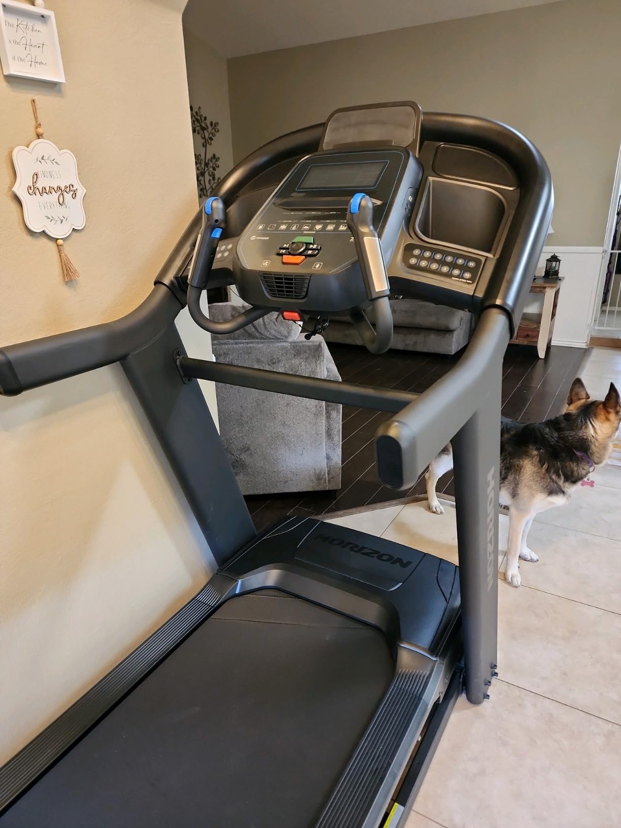 Horizon Fitness Treadmill customer photo 1