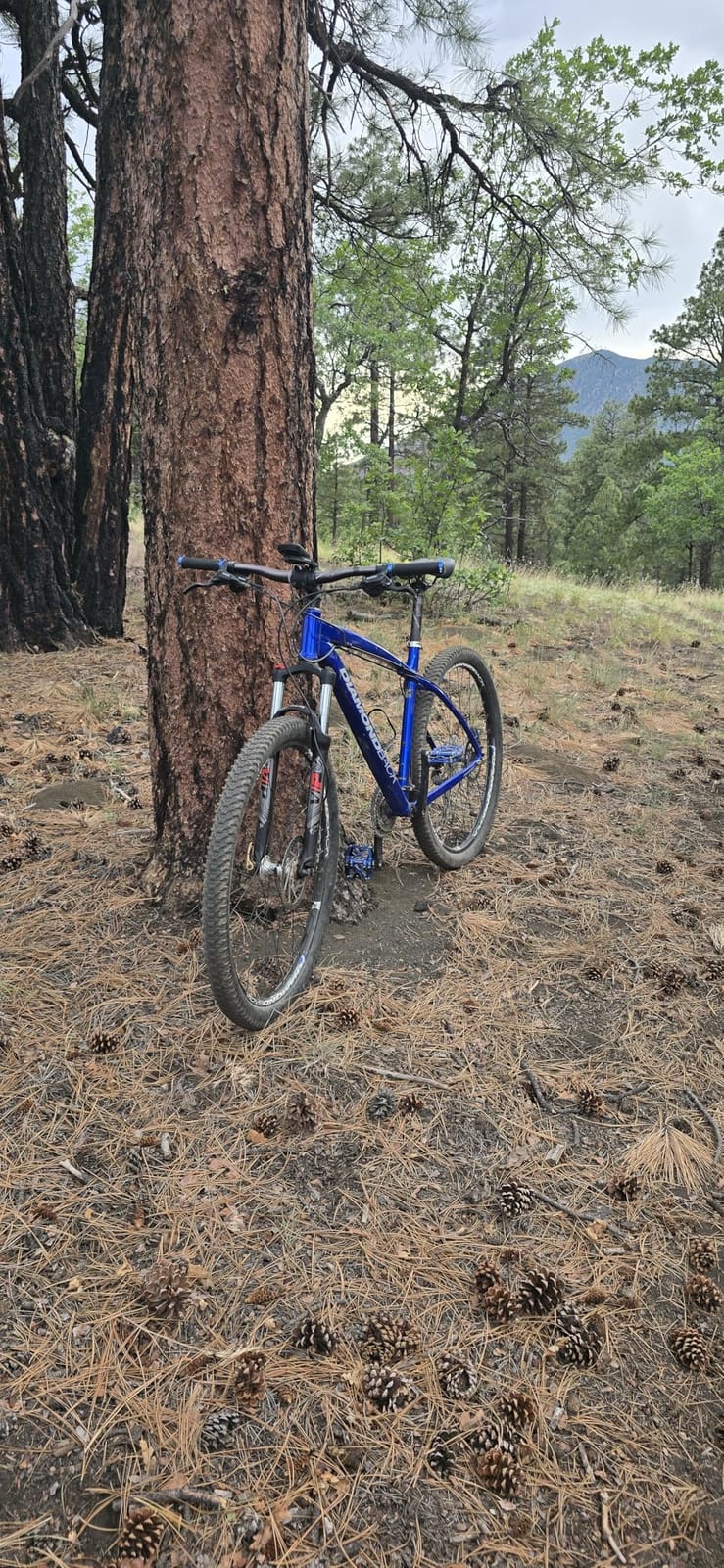 BUCKLOS 29 MTB Suspension Fork Travel 100mm QR 9mm Crown Lockout | 28.6mm Straight Tube, Aluminum Alloy, XC Mountain Bike Front Forks customer photo 2