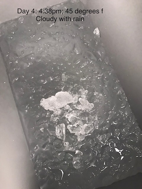 Igloo BMX Cooler | Insulated Hard Shell Ice Chest customer photo 2