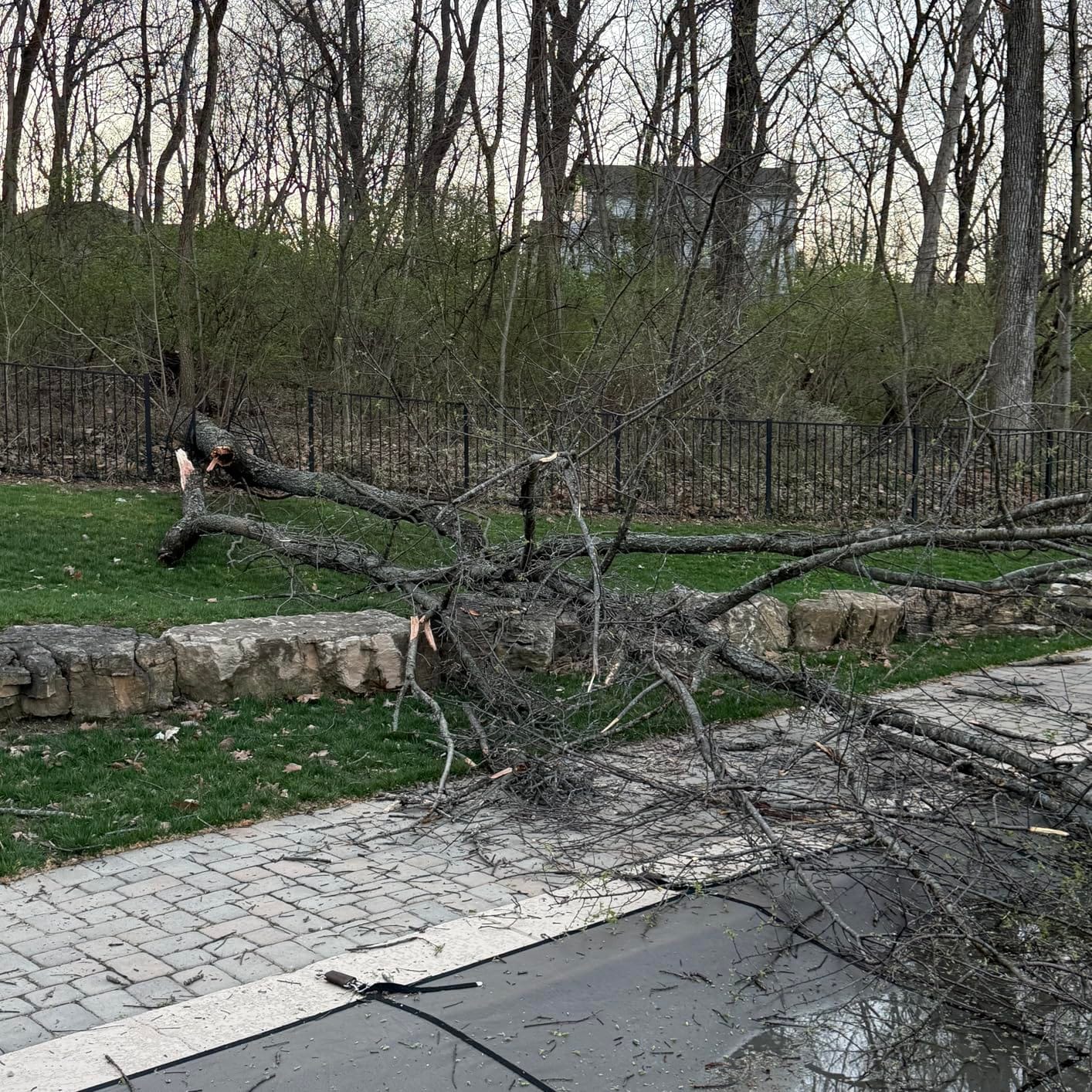 EGO POWER+ Chain Saw, 16” Battery Powered Chainsaw, Electric Cordless, Includes 56V 4.0Ah Battery and Charger – CS1613 customer photo 1