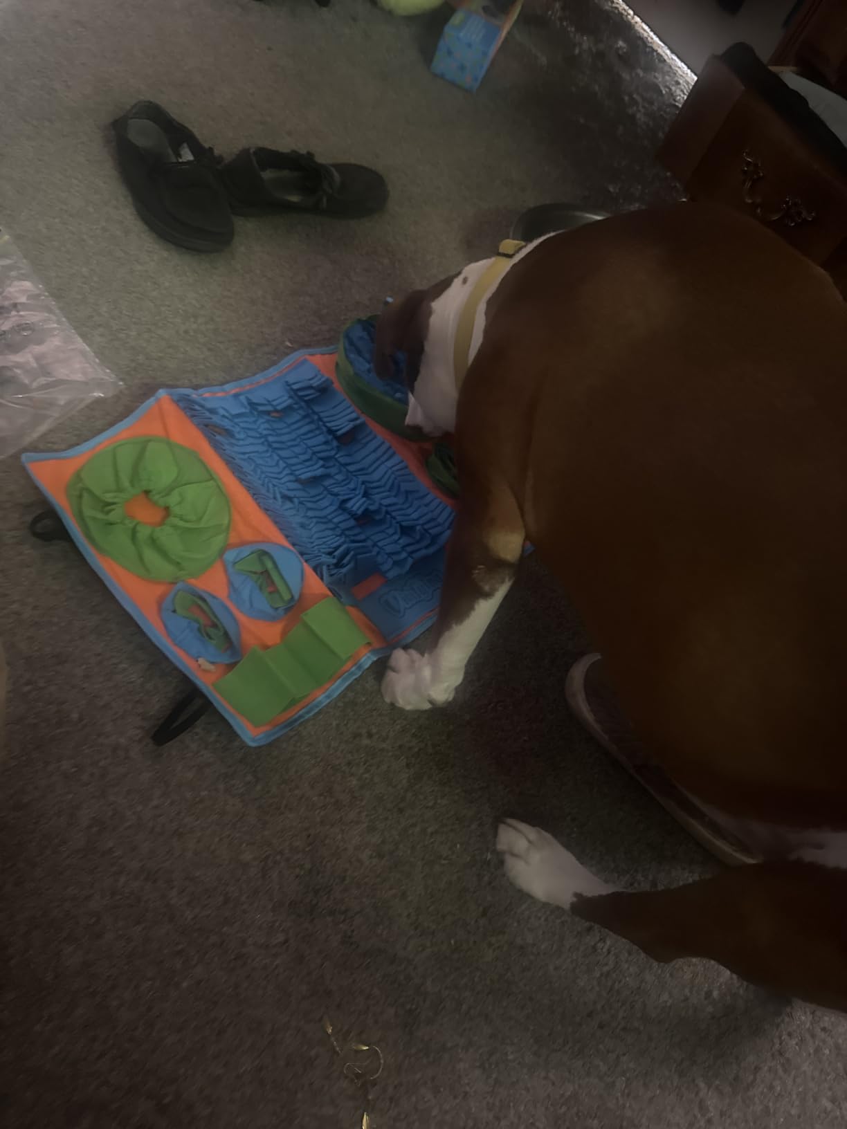 Vivifying Snuffle Mat for Dogs, Interactive Dog Puzzle Toy for Boredom and Mental Stimulation, Enrichment Feeding Game Sniff Mat Helps Slow Eating and Keep Busy customer photo 2