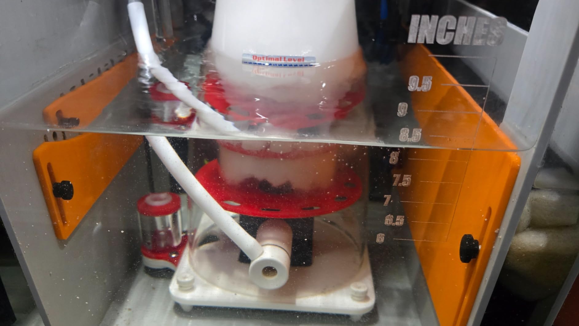 MagTool DC Protein Skimmer with Controllable Pinwheel Pump (N170 Plus) | anti-overflow design, powerful DC pinwheel pump, ideal for 135-185 Gal reef tanks. customer photo 1
