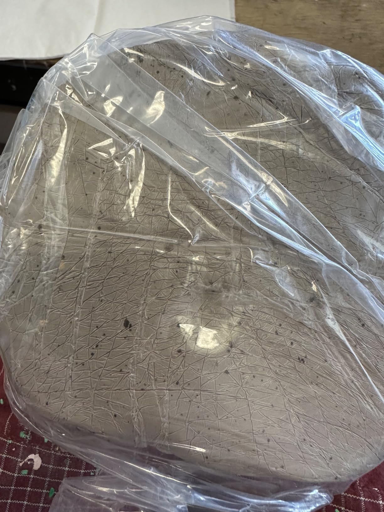 Deouss Mid High Fire White Stoneware Clay for Pottery; Mid Fire Cone 5-7; Ideal for Wheel Throwing, Hand Building, Sculpting; Great for All Skill Levels; Whiteware Clay- Pottery Clay Fires White; 5 lbs customer photo 2