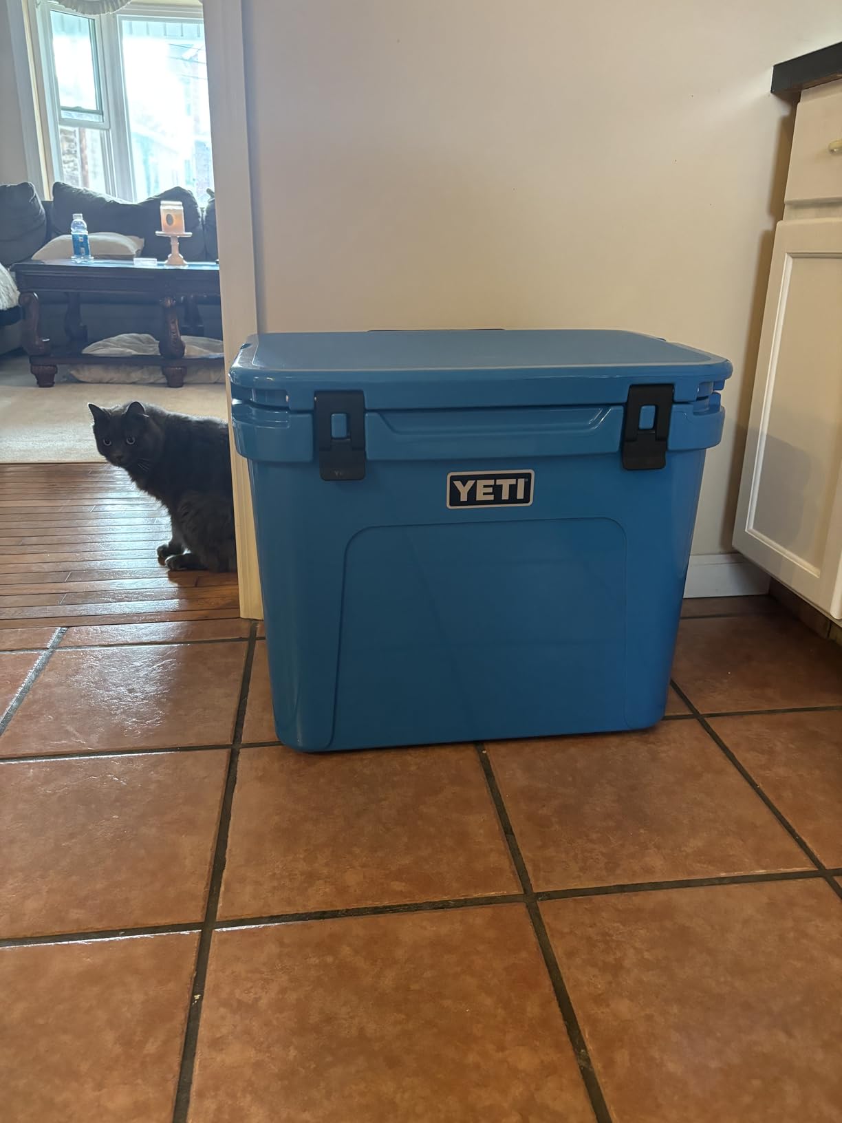 Yeti Roadie 60 Wheeled Cooler with Retractable Periscope Handle customer photo 2