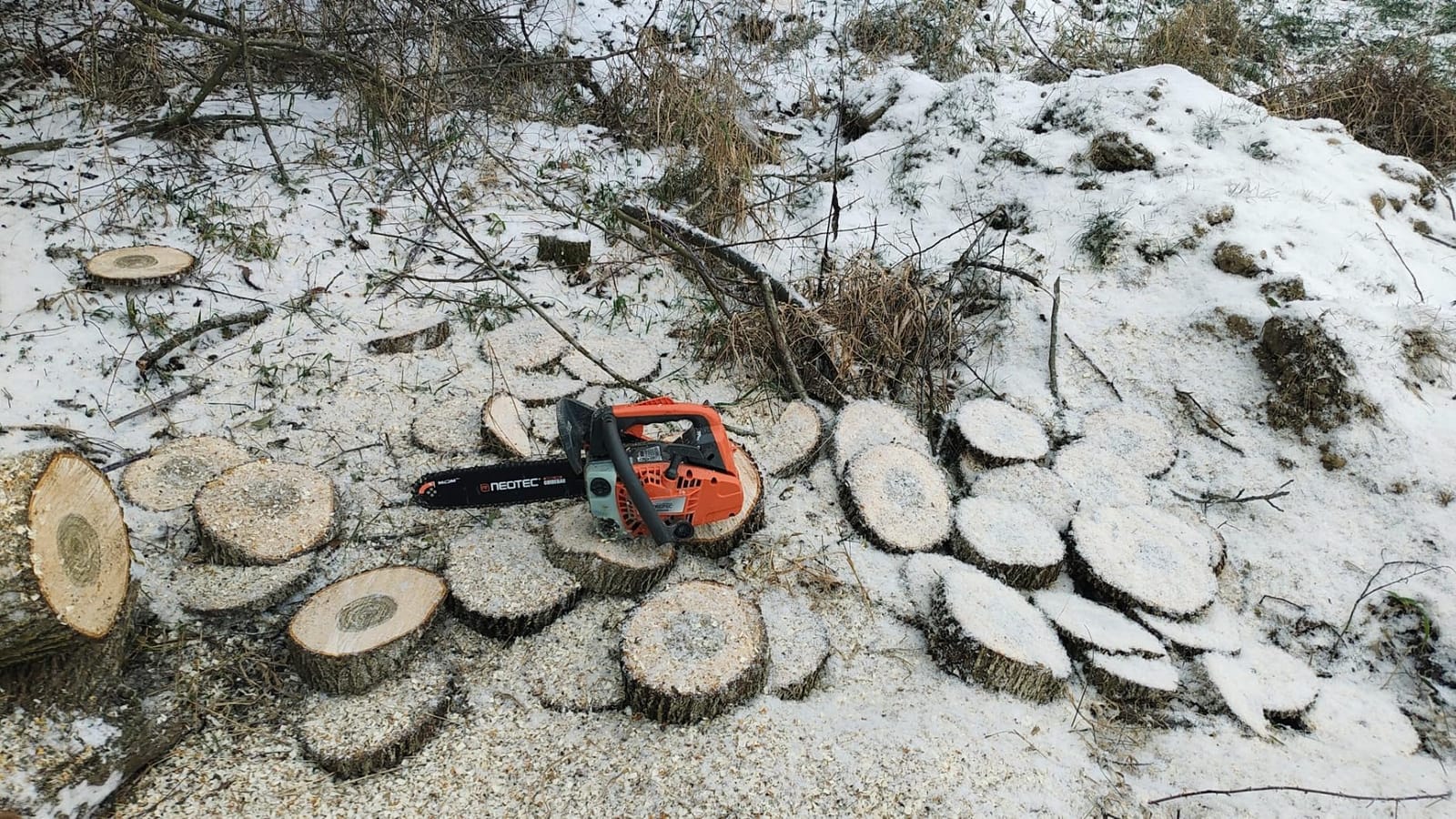 NEO-TEC 12 Inch Top Handle Gas Chainsaw 25.4cc 2-Stroke Portable Small Gas Powered Chain Saws Motosierra De Gasolina for Tree-climbing Tree Pruning Wood Cutting Firewood Preparation Yard Maintenance customer photo 1