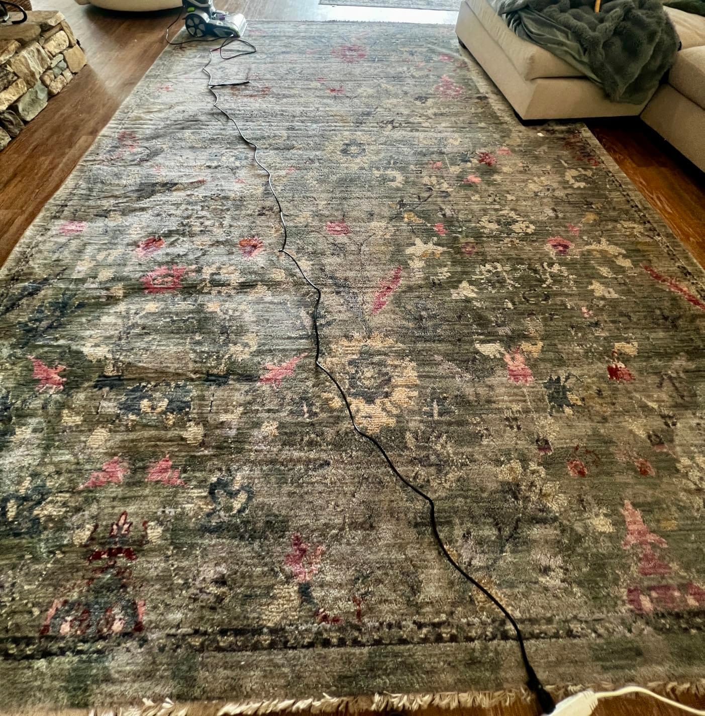 BISSELL ProHeat 2X Revolution Pet Pro Plus Carpet Cleaner, 3588F customer photo 1