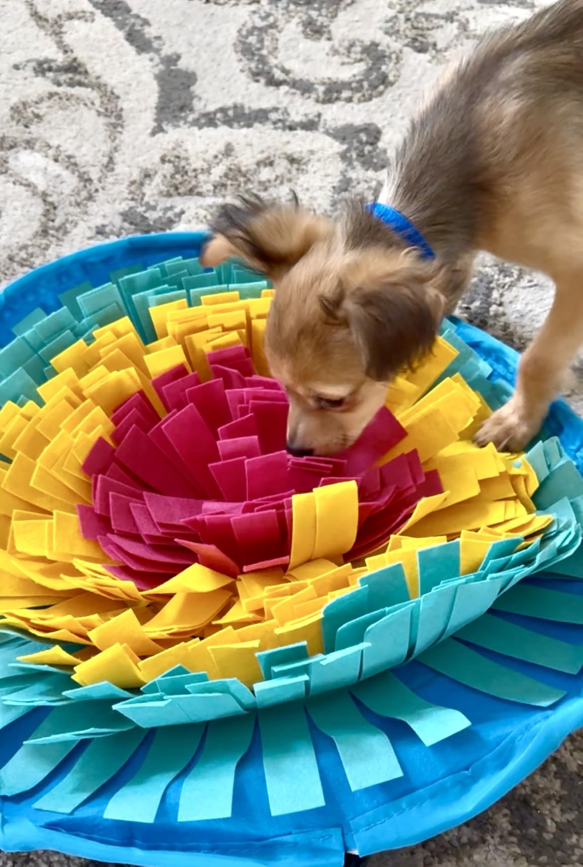 Vivifying Snuffle Mat for Dogs, Adjustable Dog Puzzle Toys Sniff Mat, Interactive Enrichment Toys for Slow Eating and Mental Stimulation (Red Yellow Blue) customer photo 1