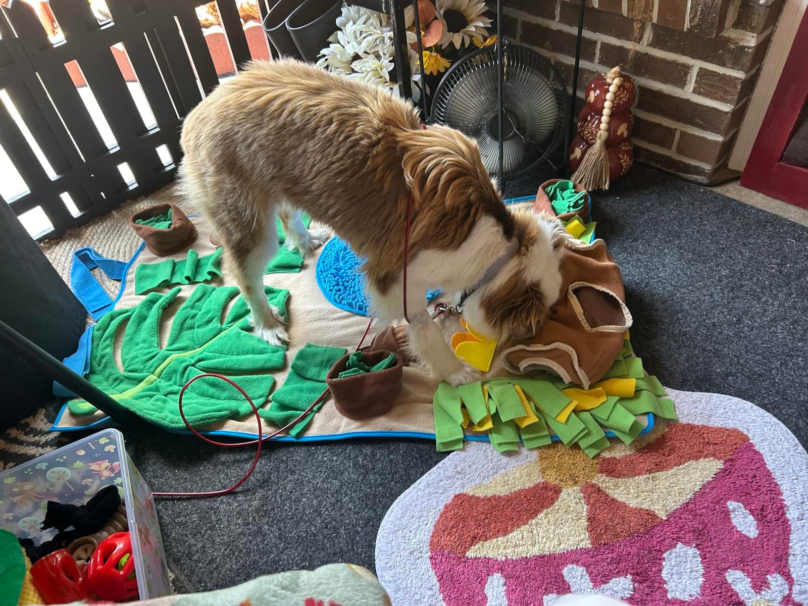 Snuffle Mat for Dogs Large Breed 39.4''x23.6''- Interactive Dog Toys for Boredom - Sniff mat - Mental Stimulation - Enrichment Toys customer photo 2