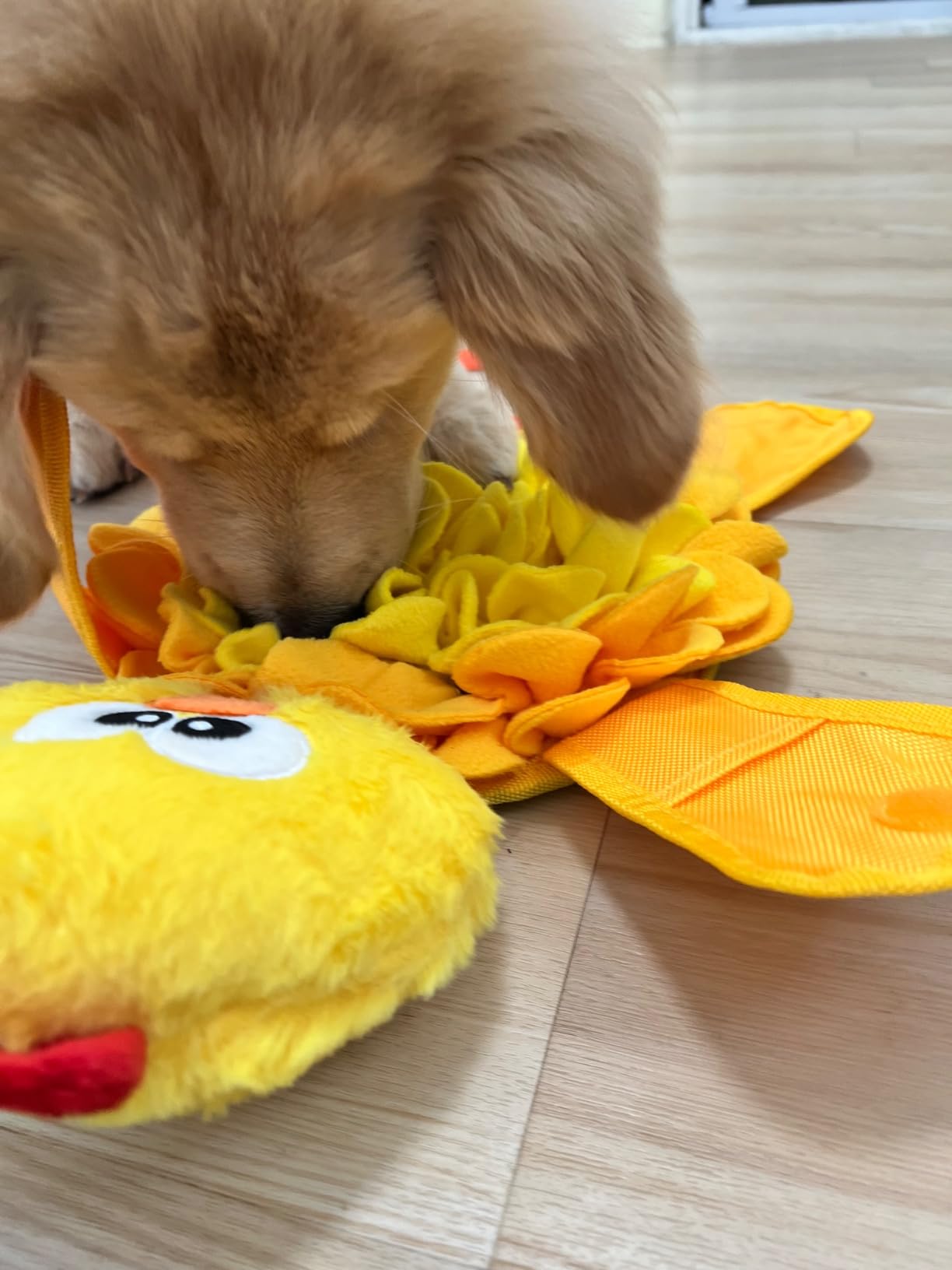 Outward Hound Nina Ottosson Snuffle Palz Squeaky Dog Toy, Chicken, 13.4