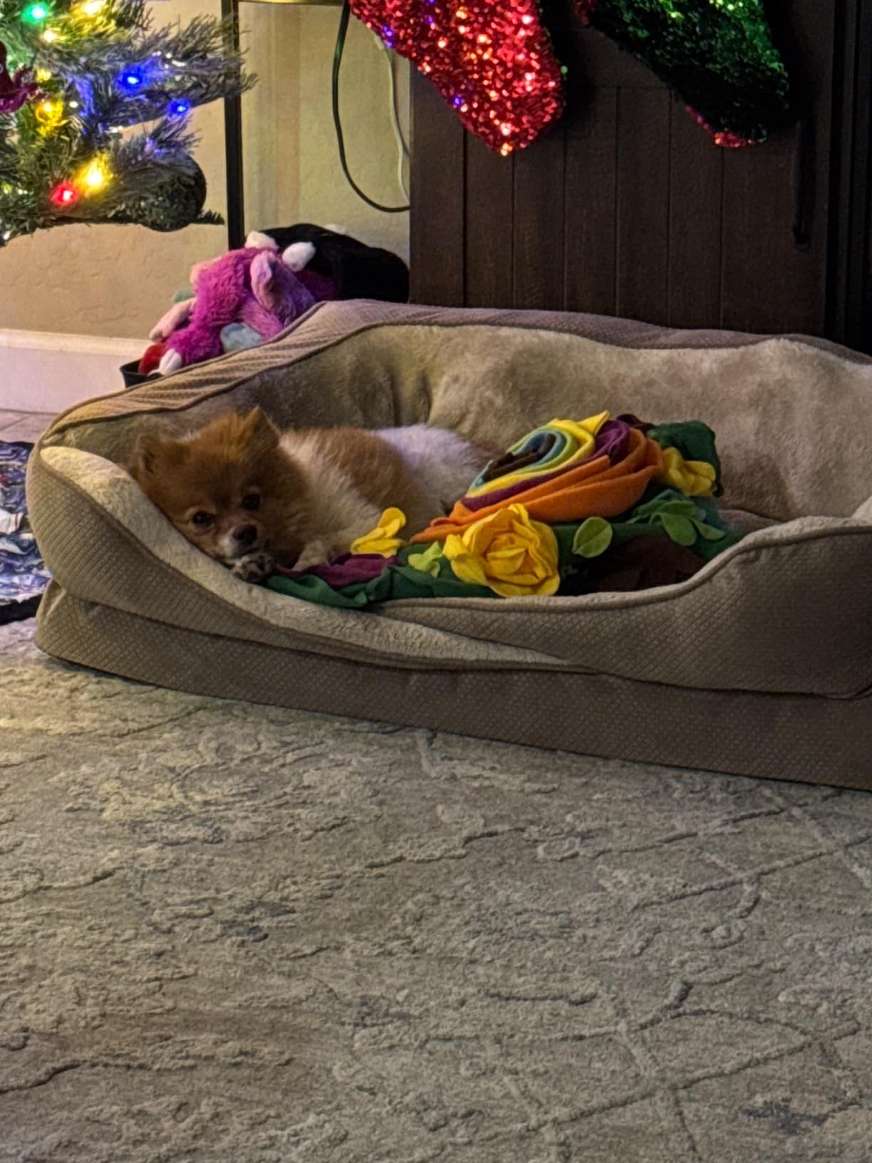 Snuffle Mat for Dogs -Interactive Dog Toys to Keep Them Busy | Puppy Puzzle Slow Feeder Treat| Dog Lick Mat Enhancement customer photo 2