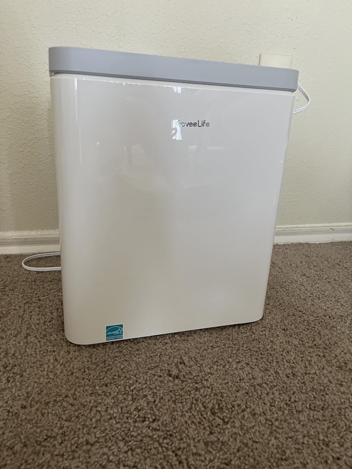 GoveeLife Smart Air Purifier for Home Large Room, Up to 1046 ft² (no sensor) | 24dB Sleep Mode, 3-in-1 Filter Air Purifier with App Alexa Control for Pet Hair, Odors, Pollen and Smoke customer photo 1