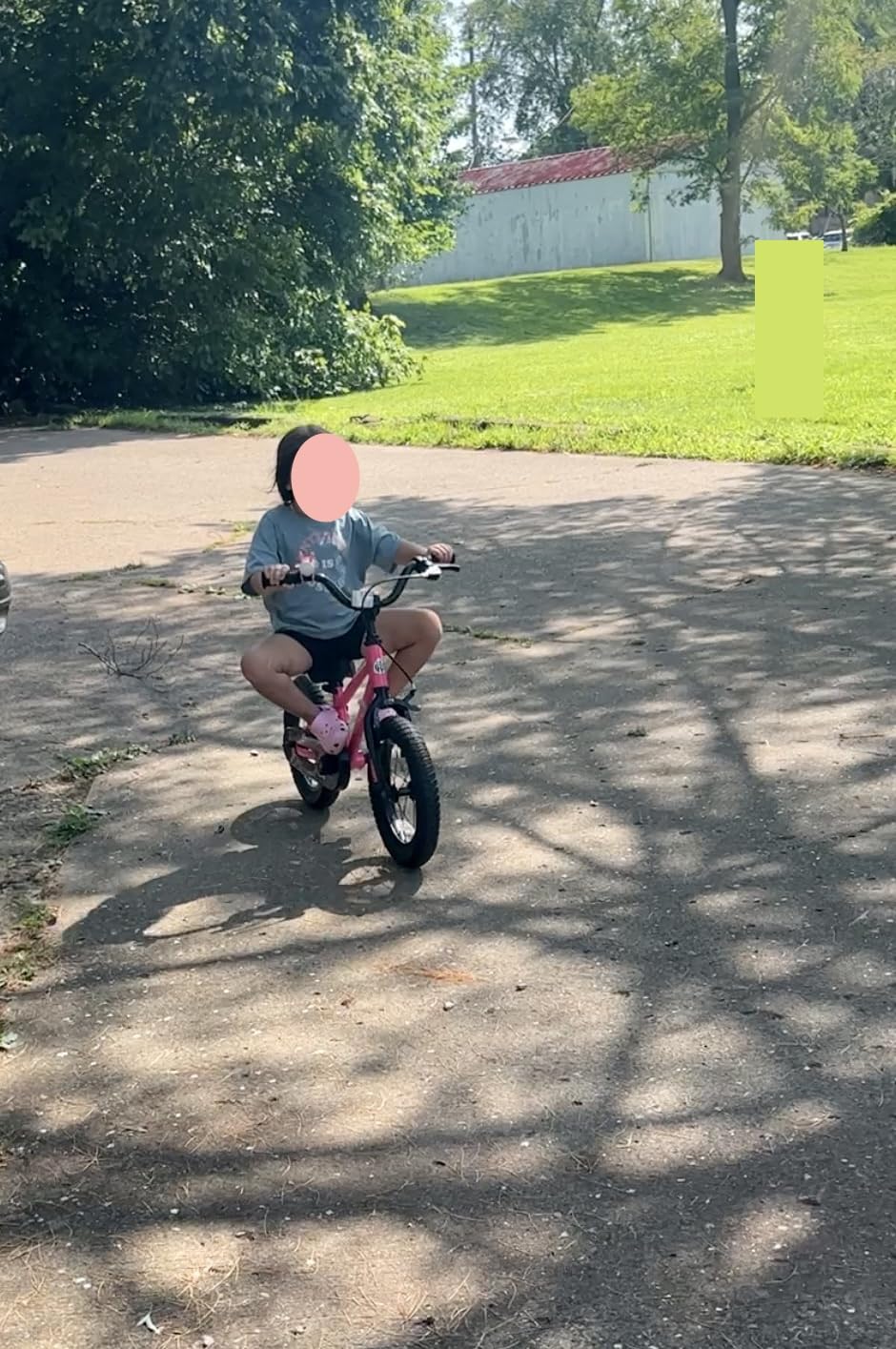 RoyalBaby EZ Kids Bike, 12-20 Inch Balance & Pedal, Safer for Beginners | Balance to Pedal, 2-in-1, Tool-Free Conversion, Beginners Learning Bicycle customer photo 2