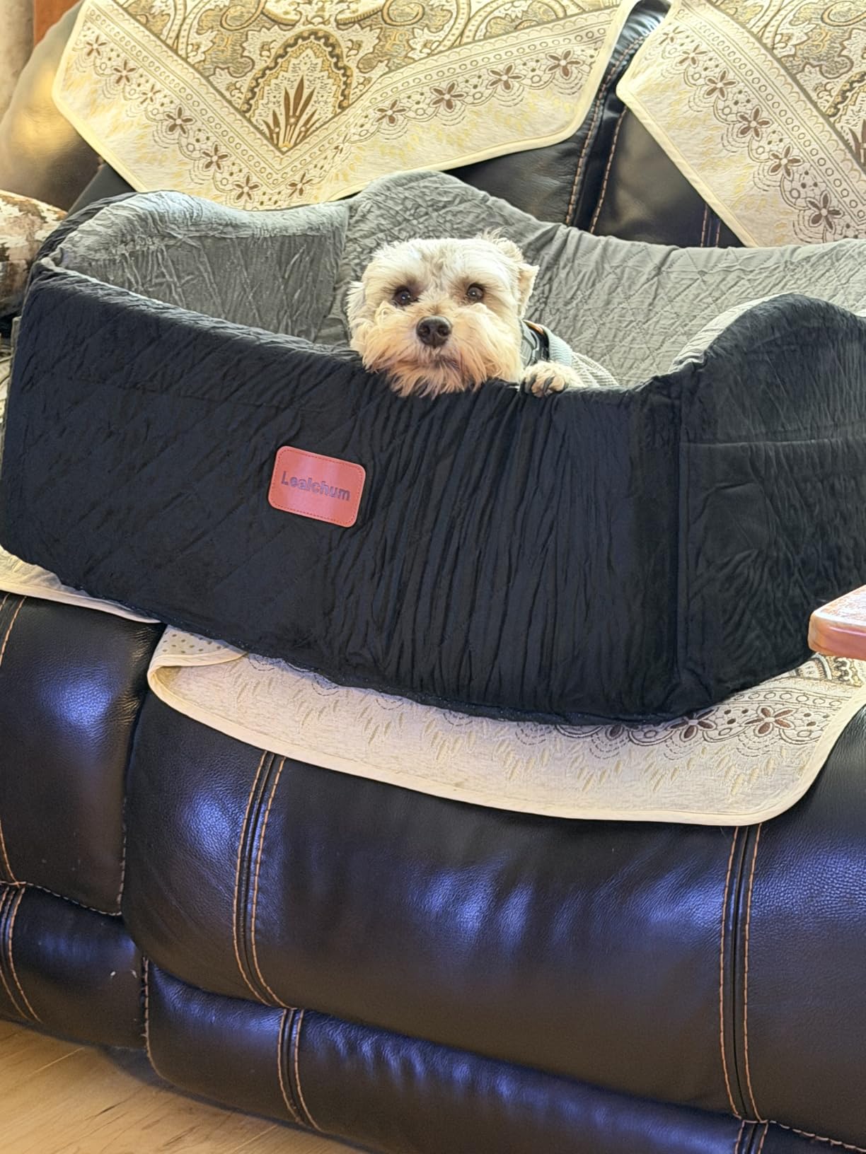 Lealchum Dog Car Seat for Large Size Dog, Soft Fabric Car Dog Bed Filling Memory Foam, 2 Clip-On Safety Leashes and 2 Pockets, Removable and Washable Comfy Pet Car Seat (Black/Brown, Large) customer photo 1