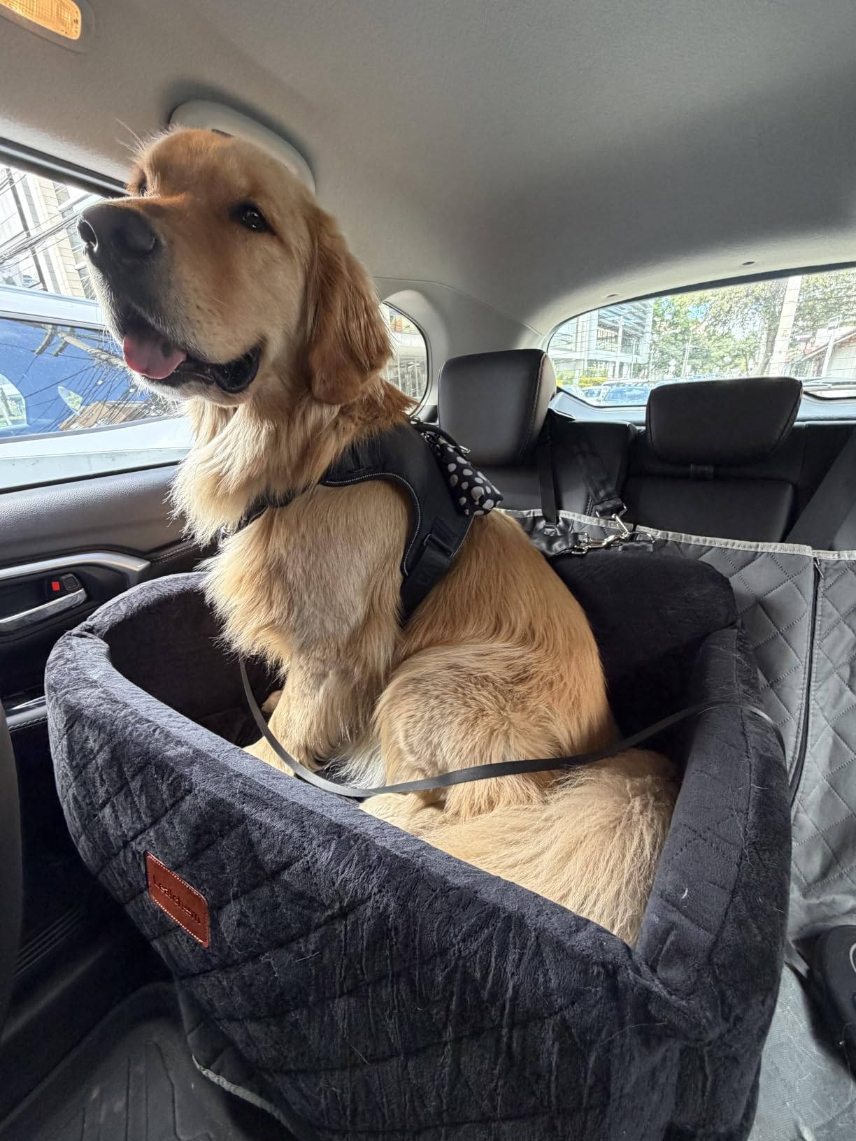 Lealchum Dog Car Seat for Large Size Dog, Soft Fabric Car Dog Bed Filling Memory Foam, 2 Clip-On Safety Leashes and 2 Pockets, Removable and Washable Comfy Pet Car Seat (Black/Brown, Large) customer photo 2
