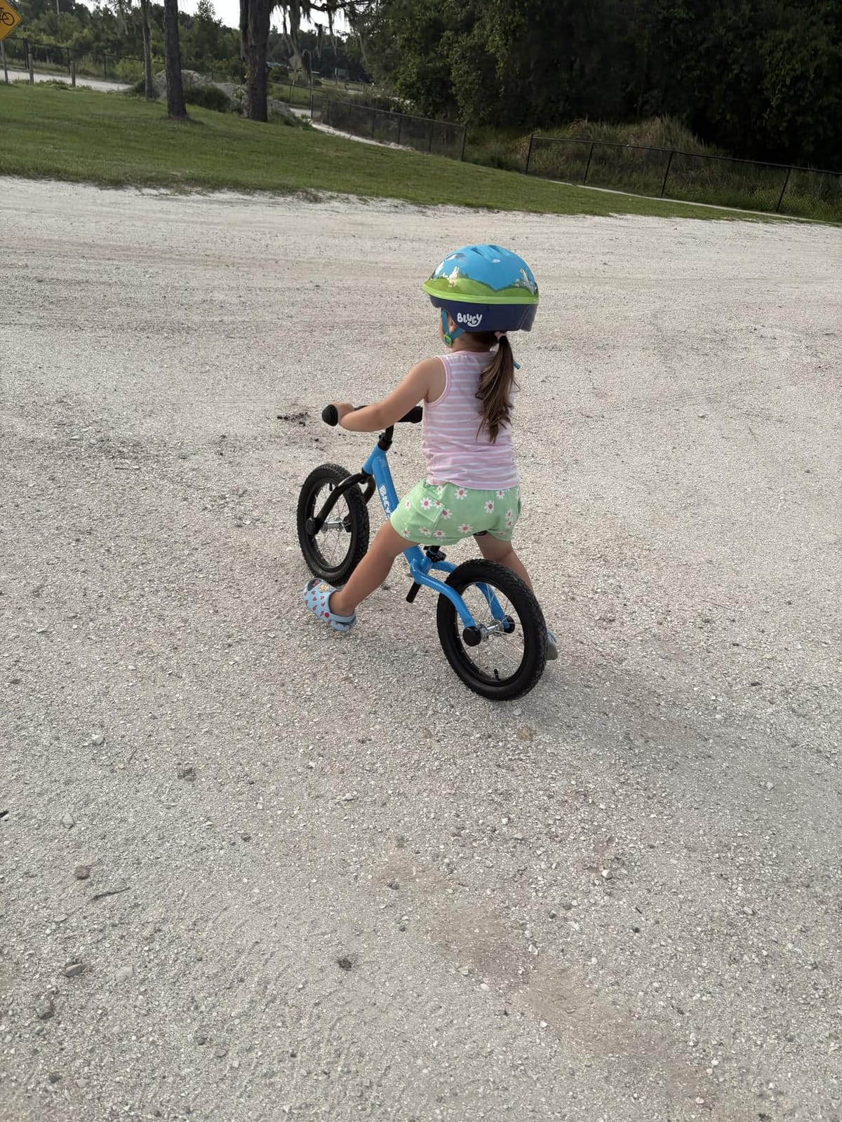 bicystar 14 Inch Balance Bike for Kids 3-5 with Rubber Air Tires, White customer photo 1