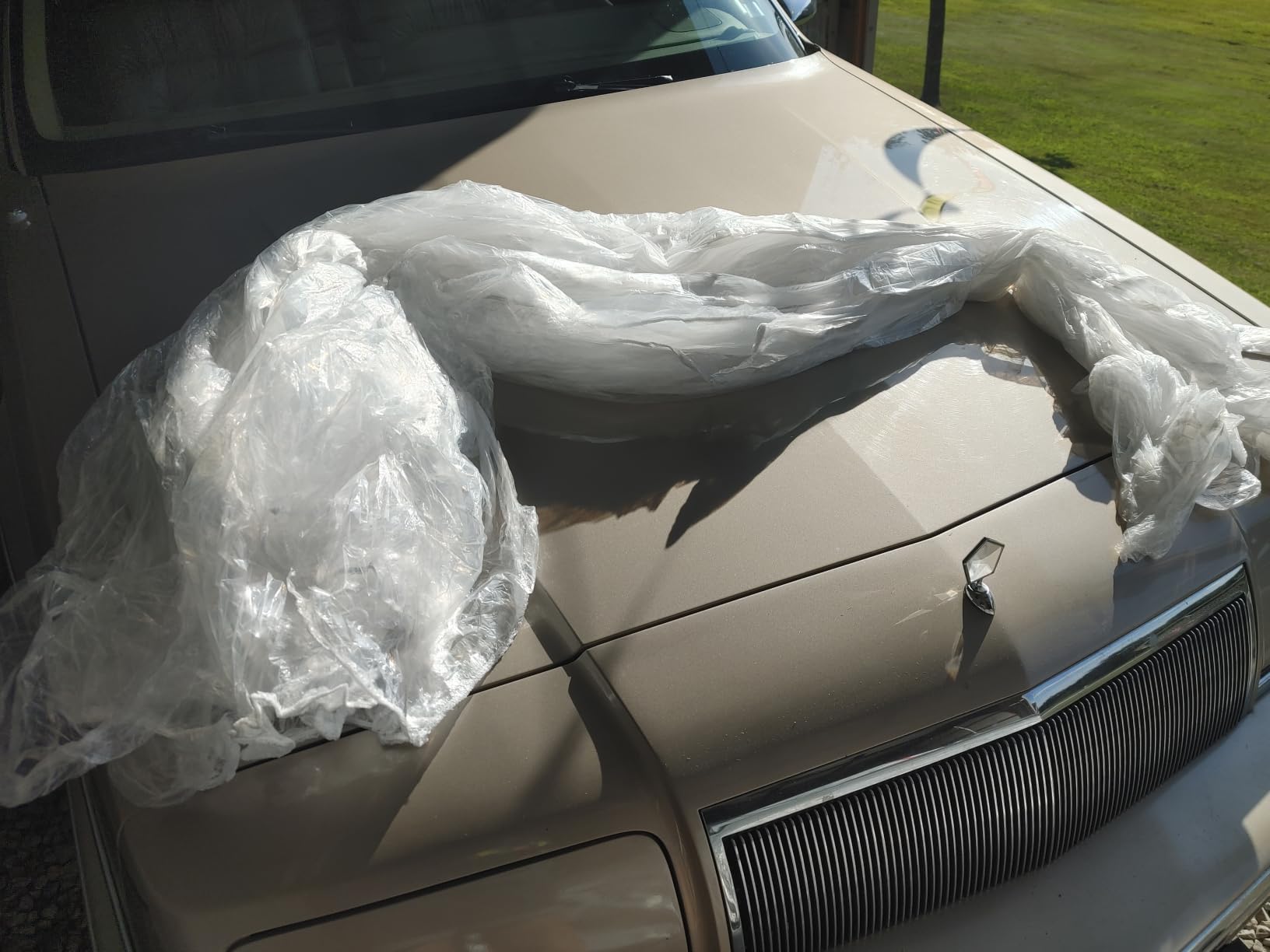4 Packs Disposable Car Cover Clear Plastic Car Cover Universal Rain Dust Garage Cover with Elastic Band Medium (15.7FT x 24.6FT) customer photo 1