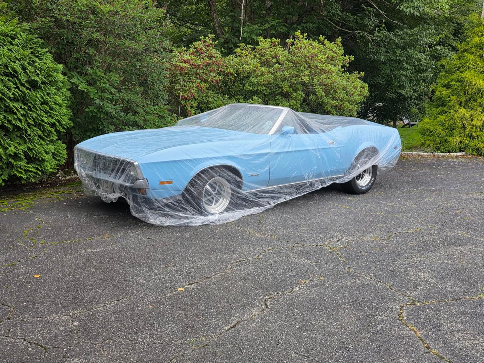 4 Packs Disposable Car Cover Clear Plastic Car Cover Universal Rain Dust Garage Cover with Elastic Band Medium (15.7FT x 24.6FT) customer photo 2