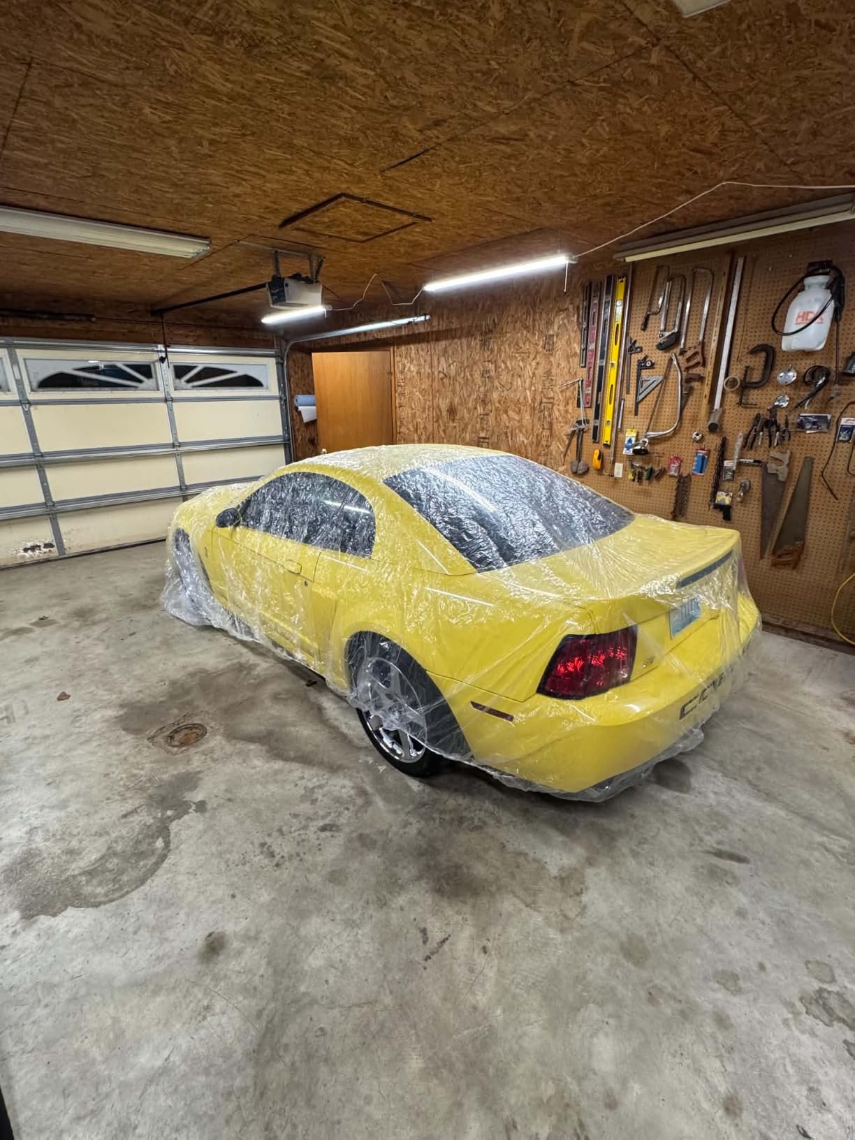 4 Packs Disposable Car Cover Clear Plastic Universal Rain Dust Garage Cover with Elastic Band Large (12 ft x 22 ft) customer photo 1