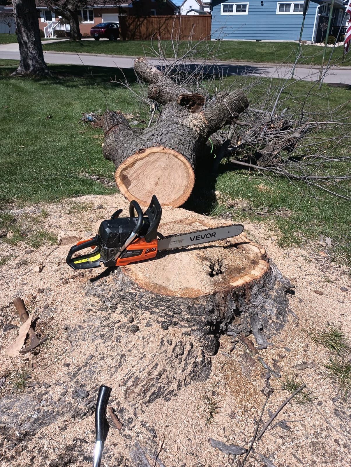 VEVOR Gas Chainsaw, 52CC 18