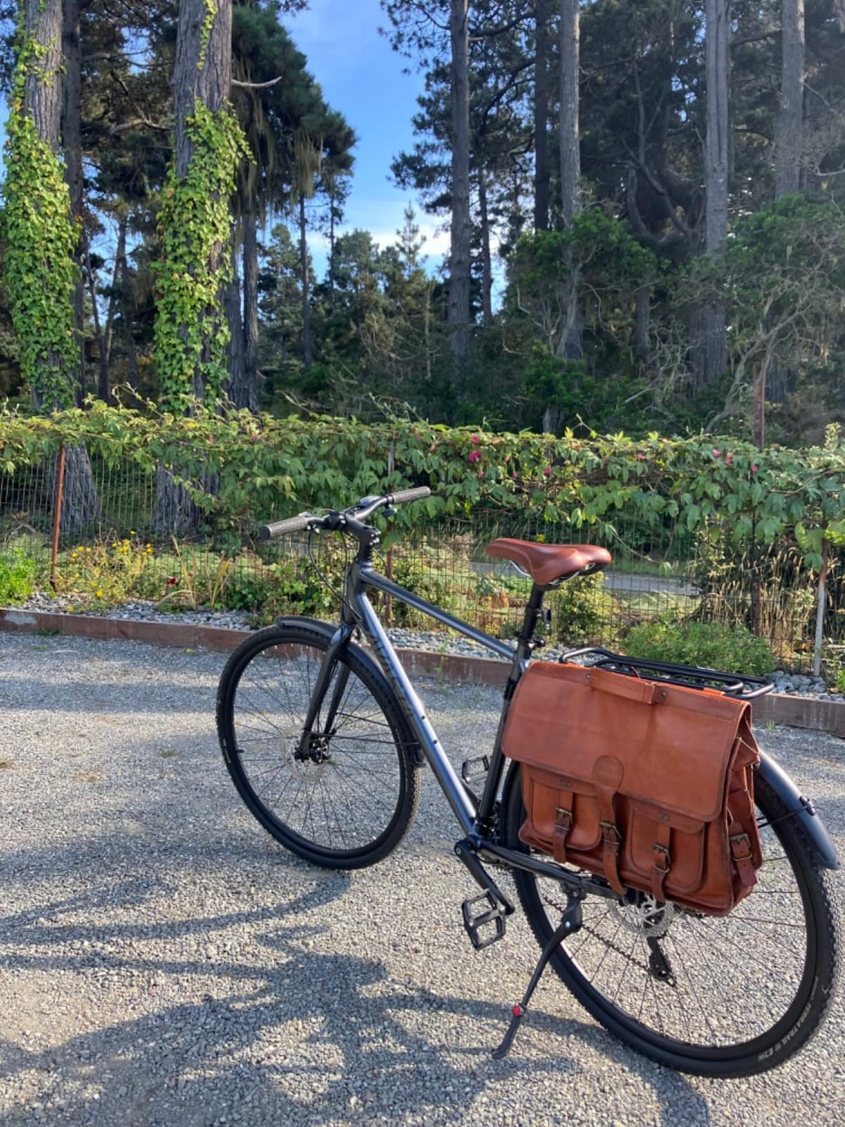 AVASTA Jupiter 17 19 Inch Frame Road Adult Hybrid Cycling Bike Bicycle customer photo 1