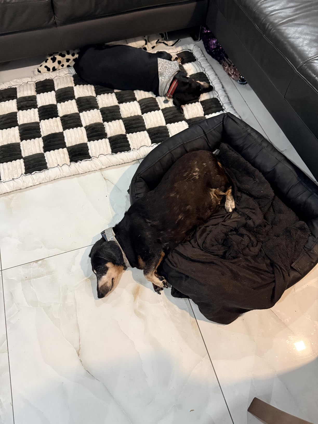 Dog Bed for Car Back Seat, Non-Slip Backseat Pet Mat for Trucks & SUVs, Plaid Flannel, Quilted PP Cotton Filling, Non-Slip Backing, Machine Washable, Fits Backseat Extenders, Trucks & SUVs customer photo 2