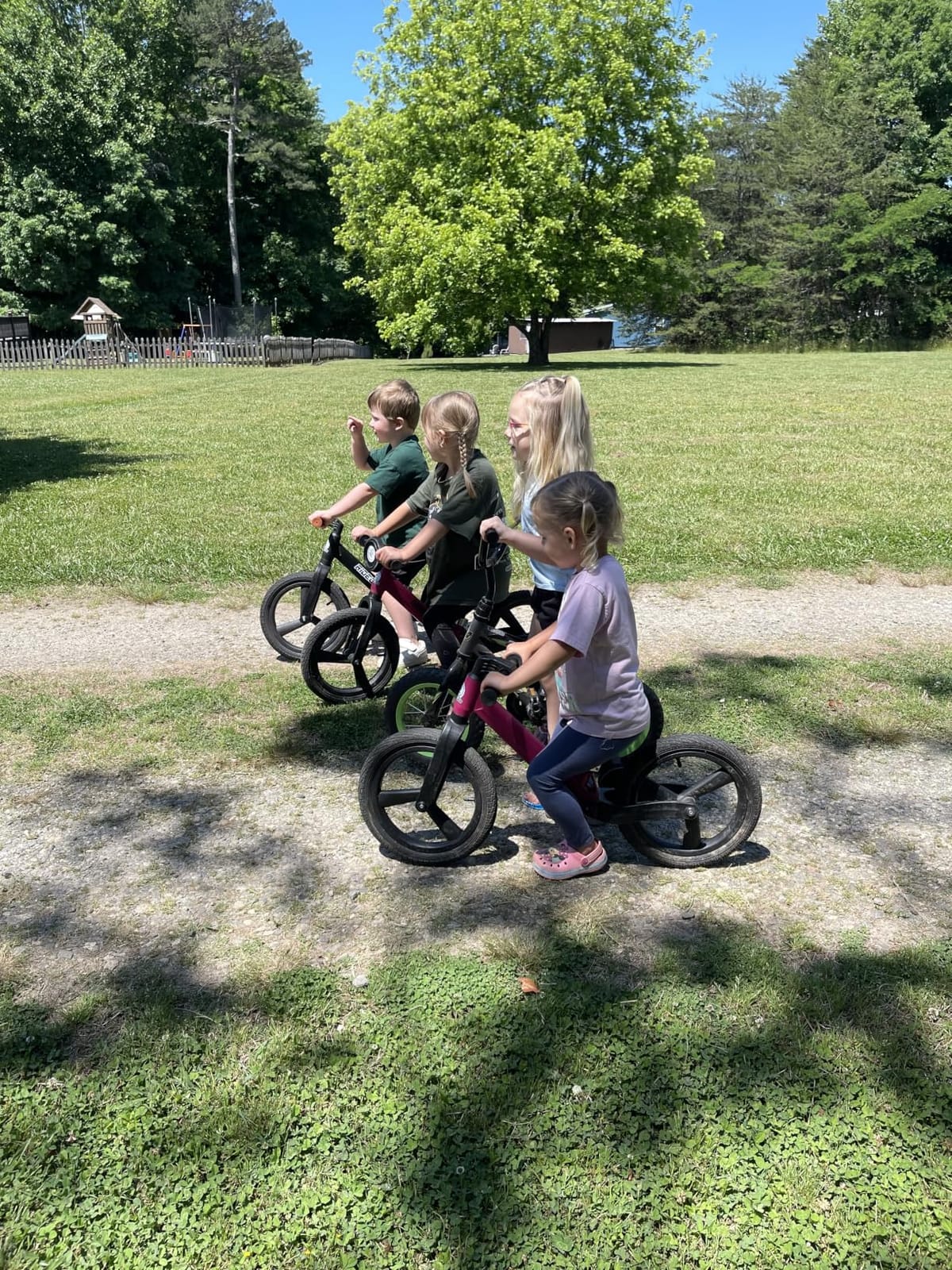Ridego 14 Inch Balance Bike for Kids 3-6 Year Old, Lightweight Kids Bike with Adjustable Seat, Push Bicycle with Air Rubber Tires customer photo 1