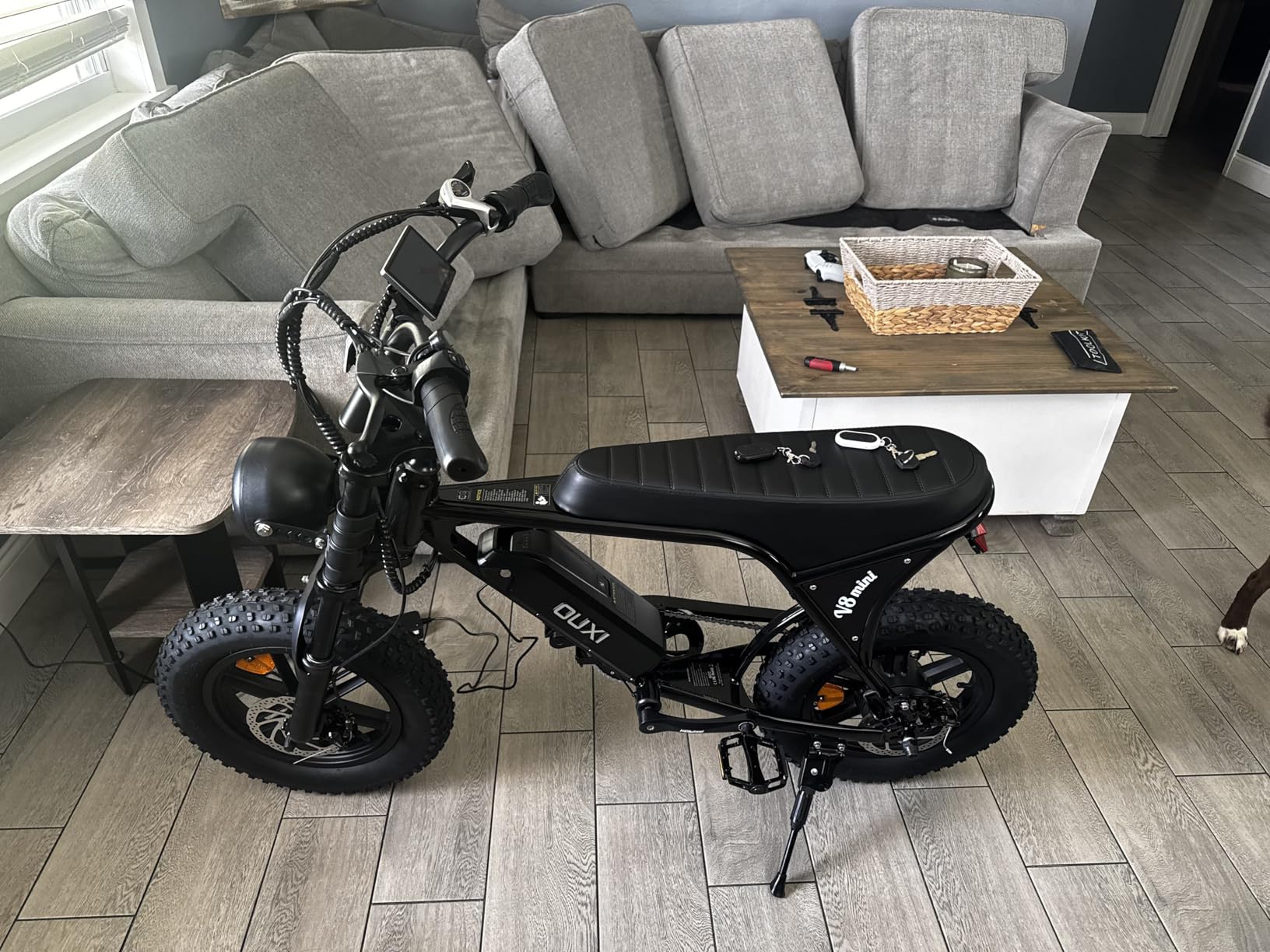 OUXI V8 Mini Ebike for Teen Youths, Peak 1000W MAX 20MPH, Class 2 Ebike | 36V 10.4Ah Removeable Battery E Dirt Bike, 16