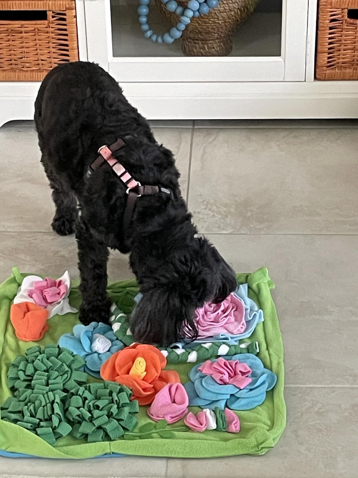 Snuffle Mat for Dogs, Slow Feeding Game Interactive Puzzle Dog Food Mat,Encourage Natural Foraging Skill-Dog Snuffle Mat 19.7''x19.7''Easy to Clean, Durable customer photo 1