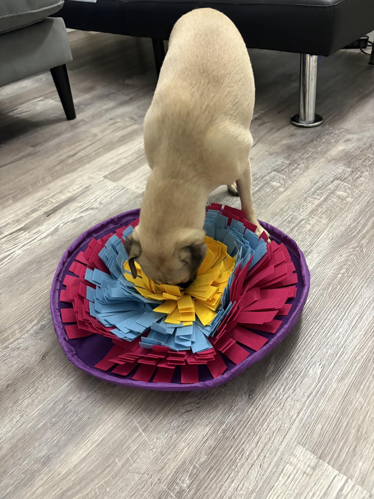 PETCARE Snuffle Mat for Dogs Adjustable Slow Feeder Bowl Interactive Enrichment Puzzle Toys for Small Medium Large Breed Dogs Cats Puppy Sniff Foraging Mats Mental Stimulation Treat Game, 19*19 inch customer photo 1