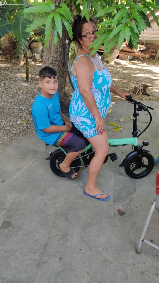 Folding Electric Bike for Adults and Teens, 14