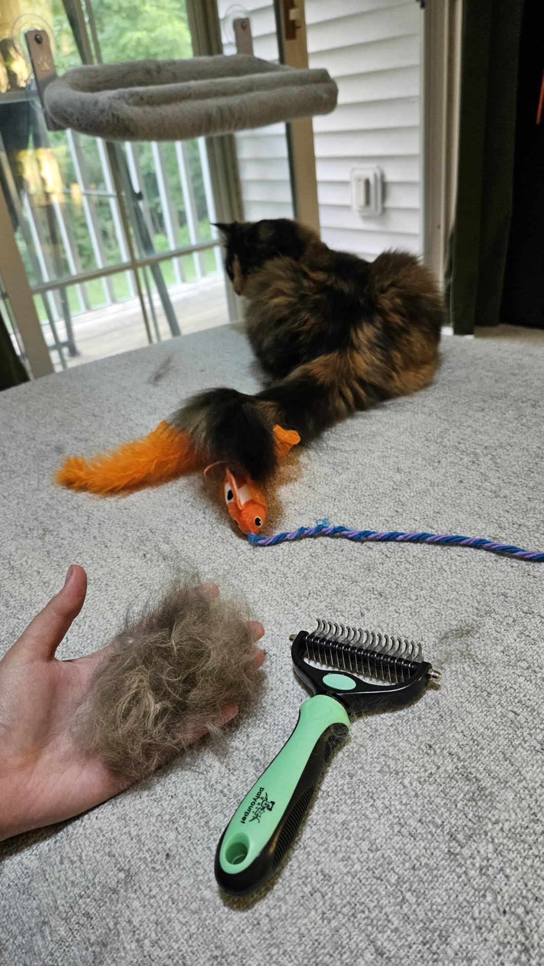 Pat Your Pet Deshedding Dog Brush For Shedding - Cat Brushes For Indoor Cats, Double-Sided Cat Brush Deshedding & Grooming Tool For Long Haired And Short Haired Dogs, Skin-Friendly customer photo 2